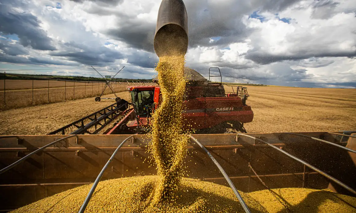 Exportações do agro brasileiro batem recorde histórico em julho