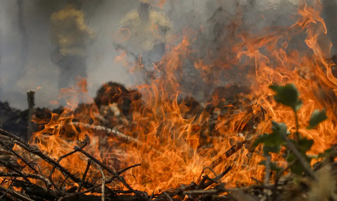 Deputados querem penas mais duras para quem provocar incêndios