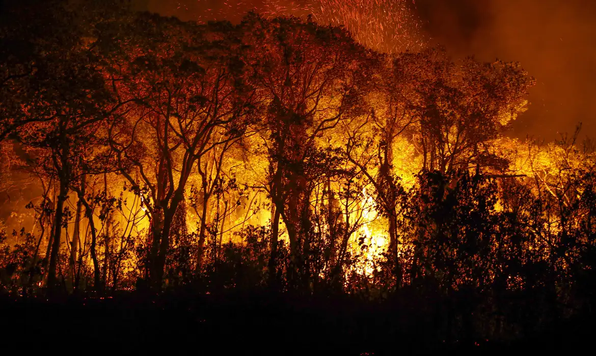 Sem trégua, fogo já consumiu mais de 2 milhões de ha do Pantanal