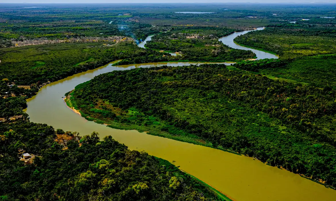 Pantanal cada vez mais seco é risco para agropecuária da região