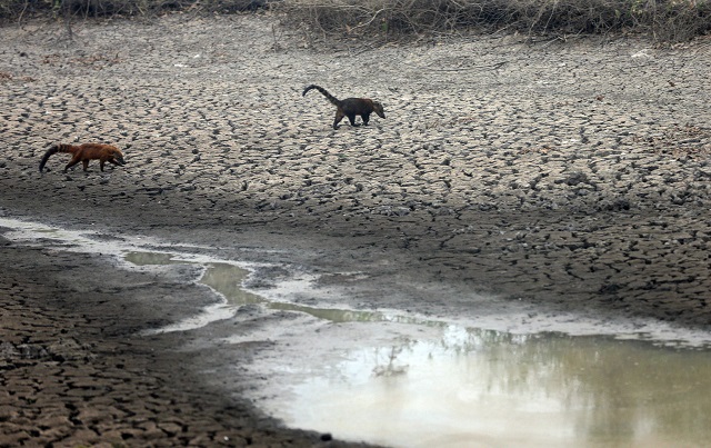 Rio Paraguai tem nível negativo e chega a pior marca em 8 anos