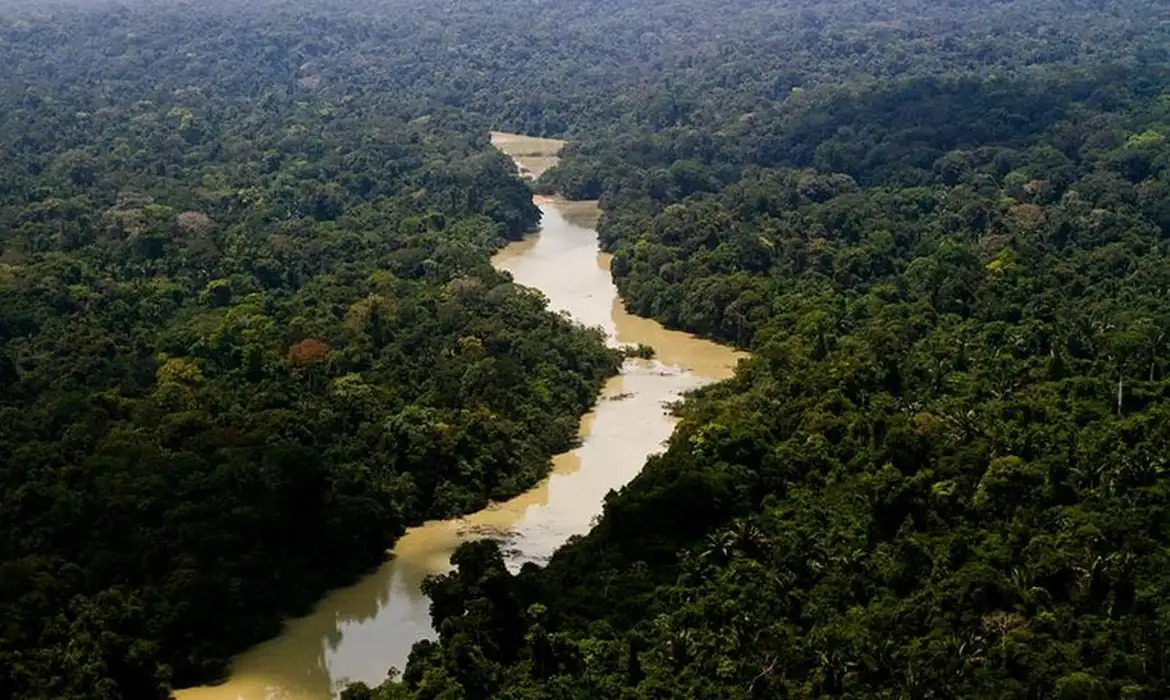 O aumento da temperatura na Amazônia e o ciclo do metano