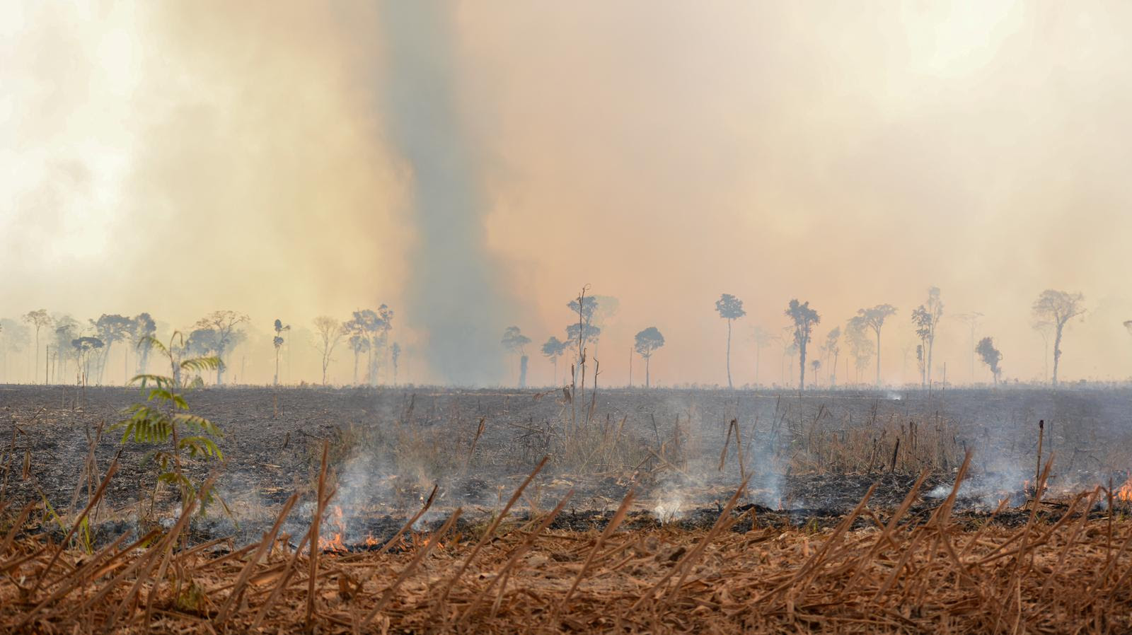 Cristalino II já perdeu quase mil campos de futebol para o fogo