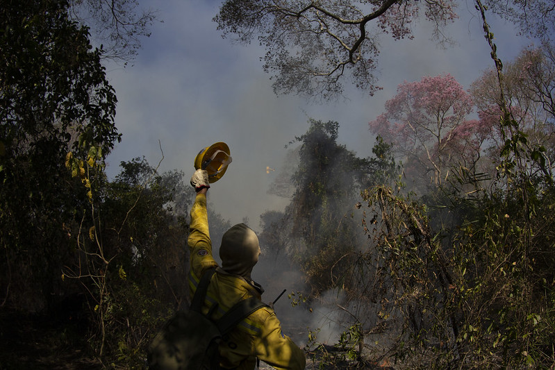 Incêndios podem ter afetado mais de 11 mi de pessoas no Brasil