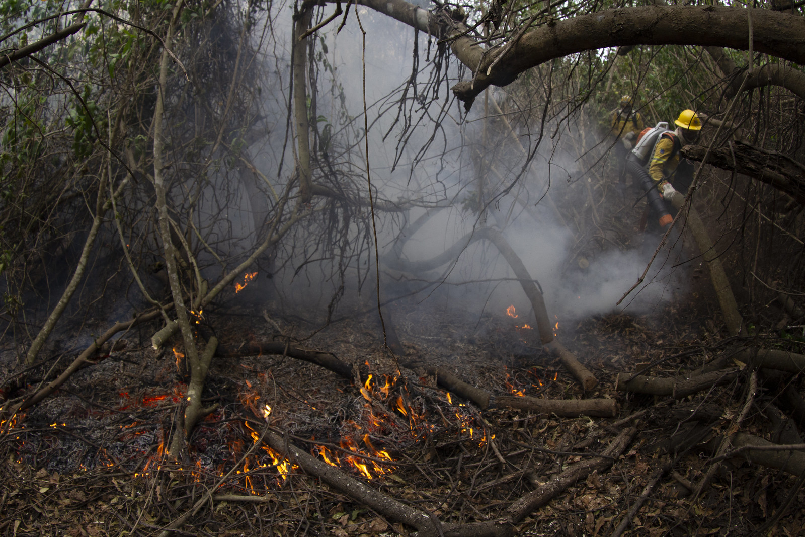 Governo quer aparato contra o fogo em propriedades rurais