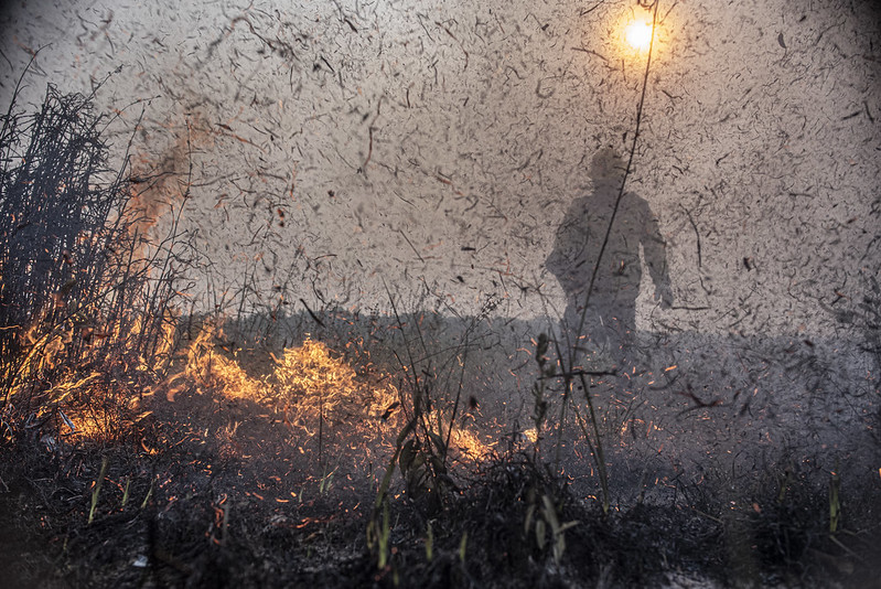 MP libera crédito suplementar de R$ 514 mi para combater incêndios