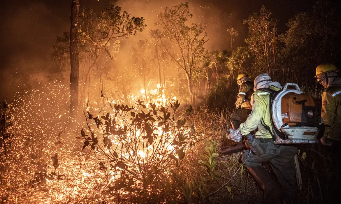 Monitoramento mostra que 99% dos incêndios são por ação humana