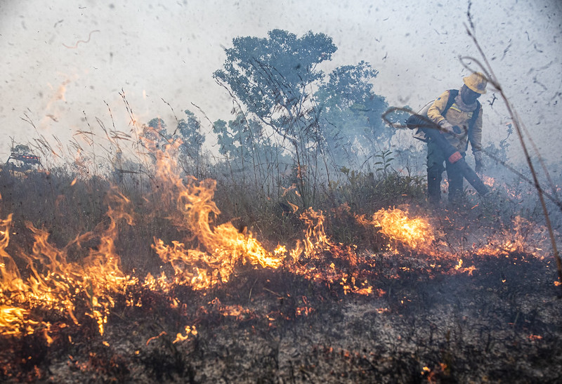 Governo propõe prisão de até 18 anos para quem causa incêndios florestais