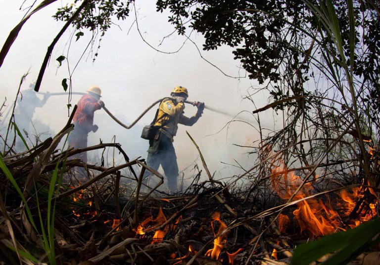 Plano Clima Participativo atinge mil propostas recebidas