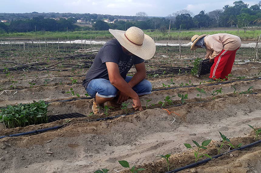 Fumaça e calor extremo exigem atenção à saúde do trabalhador rural