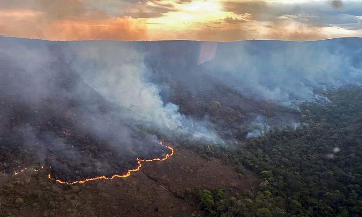 Áreas de florestas primárias “intocadas” sofrem com incêndios