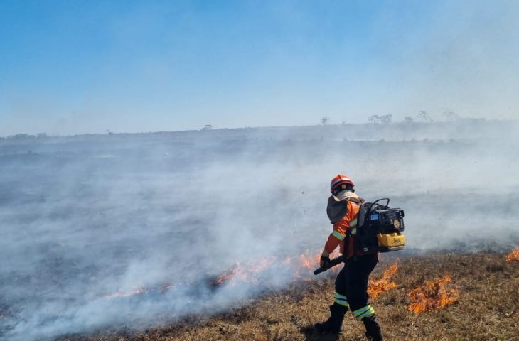 Brasil enfrenta a pior seca de sua história recente, diz CEMADEN