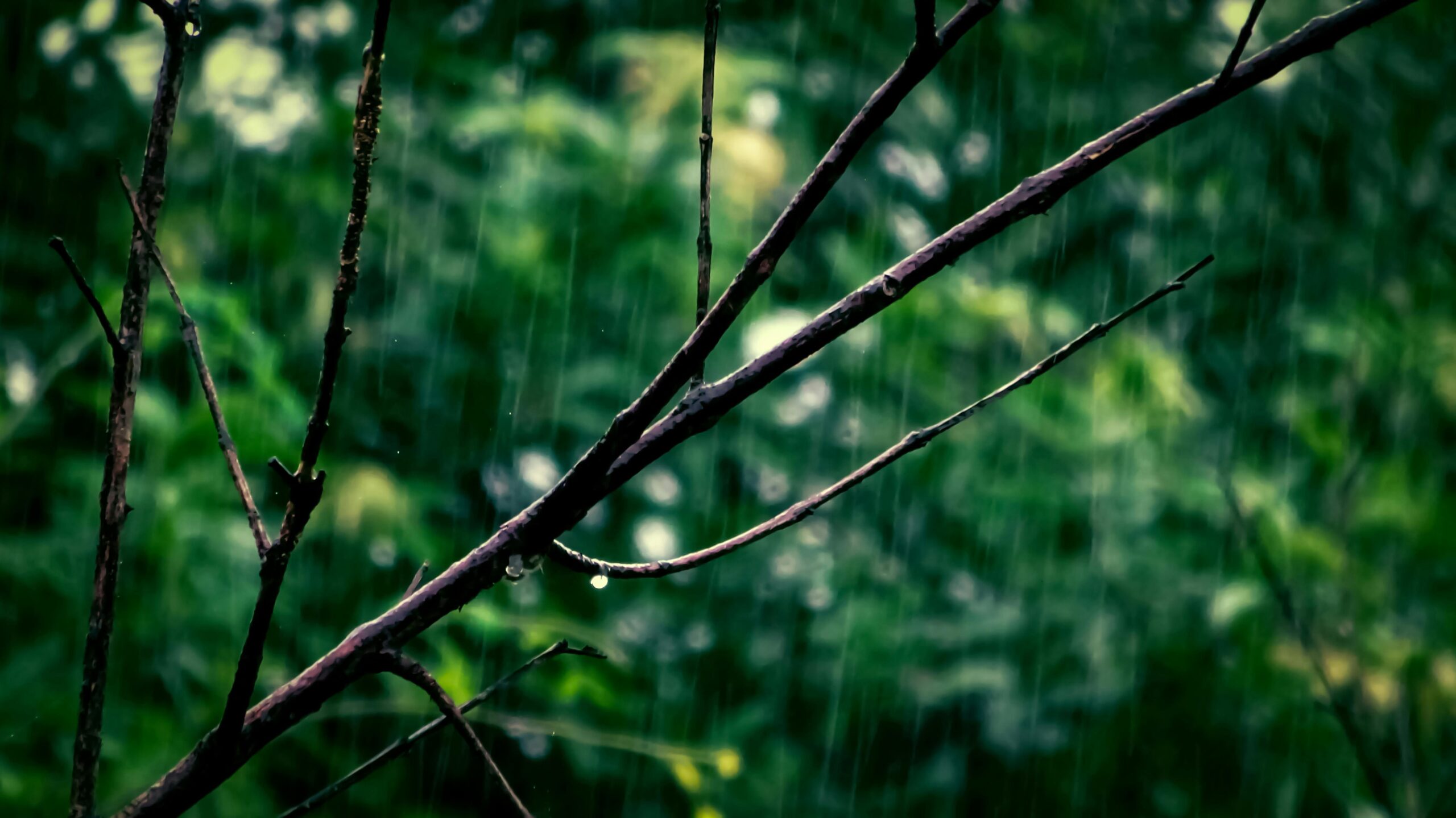 La Niña pode atrasar e ocorrer apenas em 2025, alerta ONU