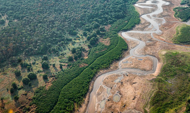 MP libera mais de R$ 938 mi para ações na Amazônia e Pantanal