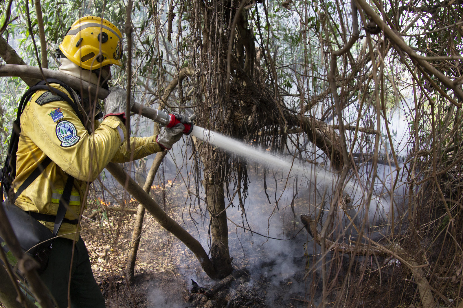 Setembro foi o pior mês do ano em incêndios florestais, diz Inpe