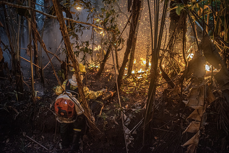 AGU cobra R$ 89 mi de acusados de causar queimadas na Amazônia