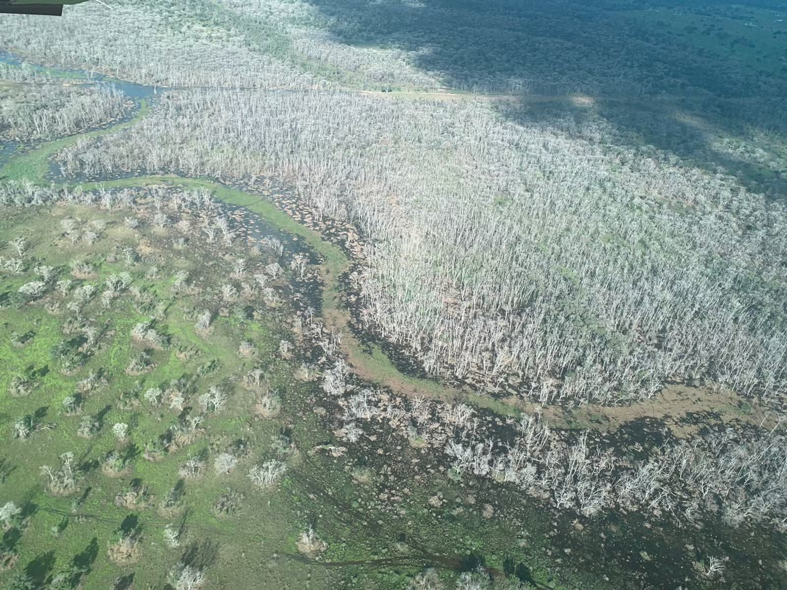 MP denuncia grupo por desmate químico de 81 mil hectares no MT