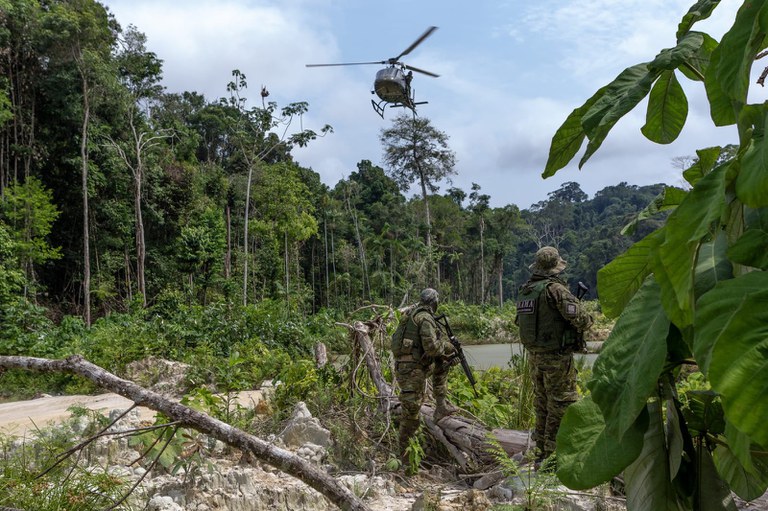 Desmatamento na Amazônia chega a menor taxa em 10 anos