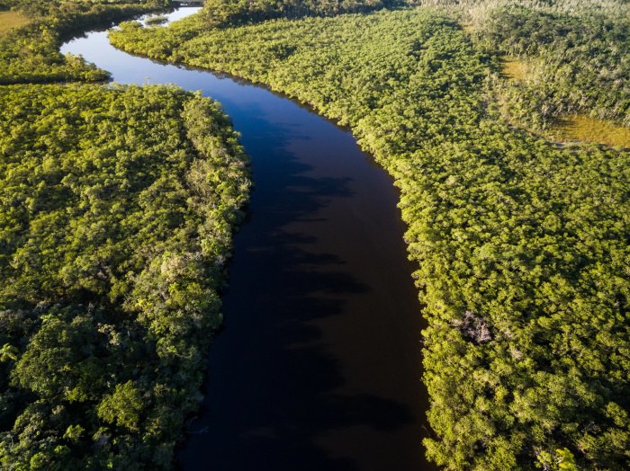 EUA e Noruega formalizam aportes financeiros para Amazônia