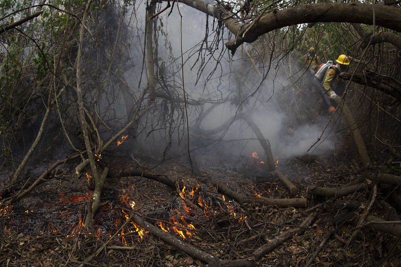 Brasileiros temem colapso econômico por mudanças do clima