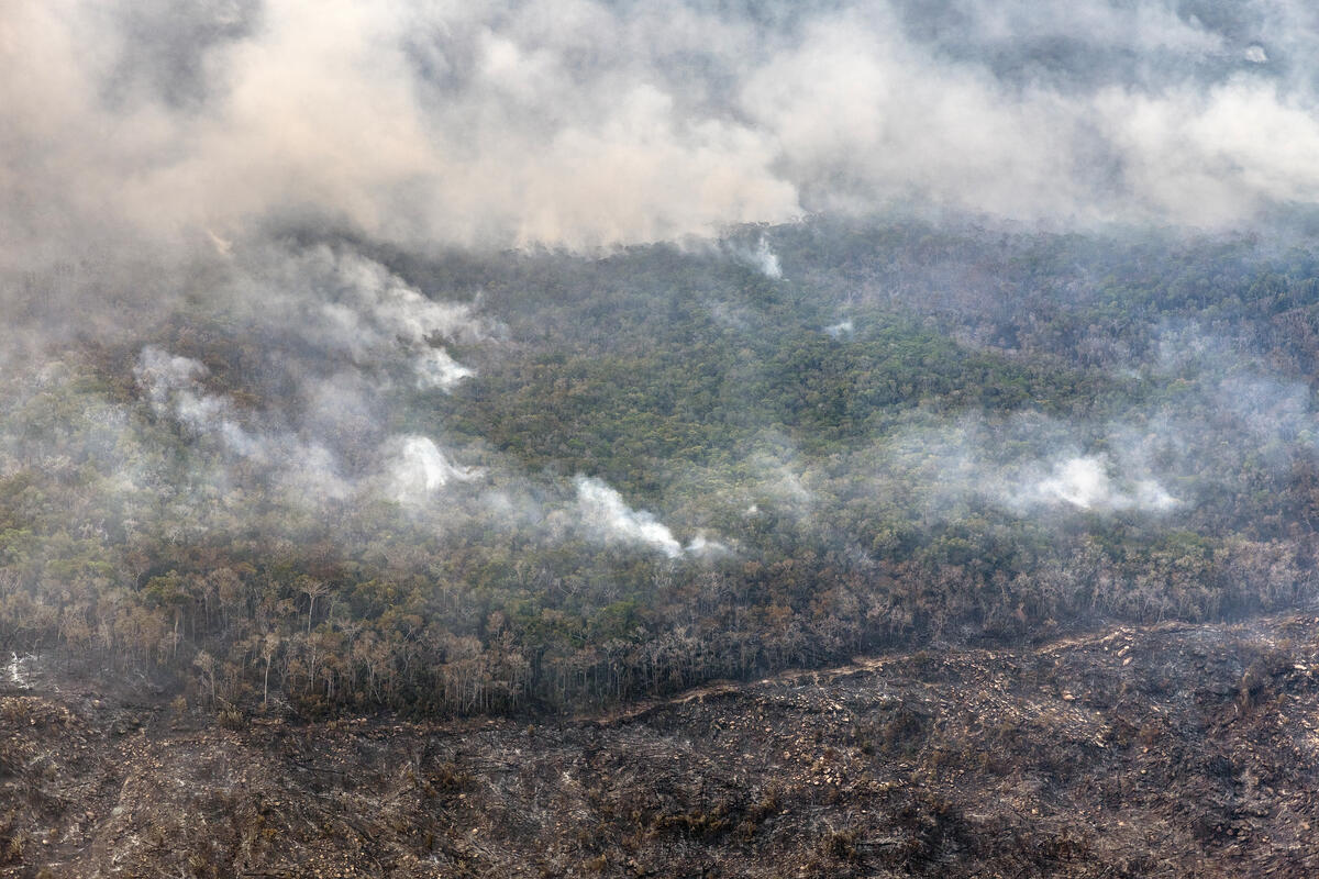 Fogo leva Amazônia ao pior nível de degradação em 15 anos