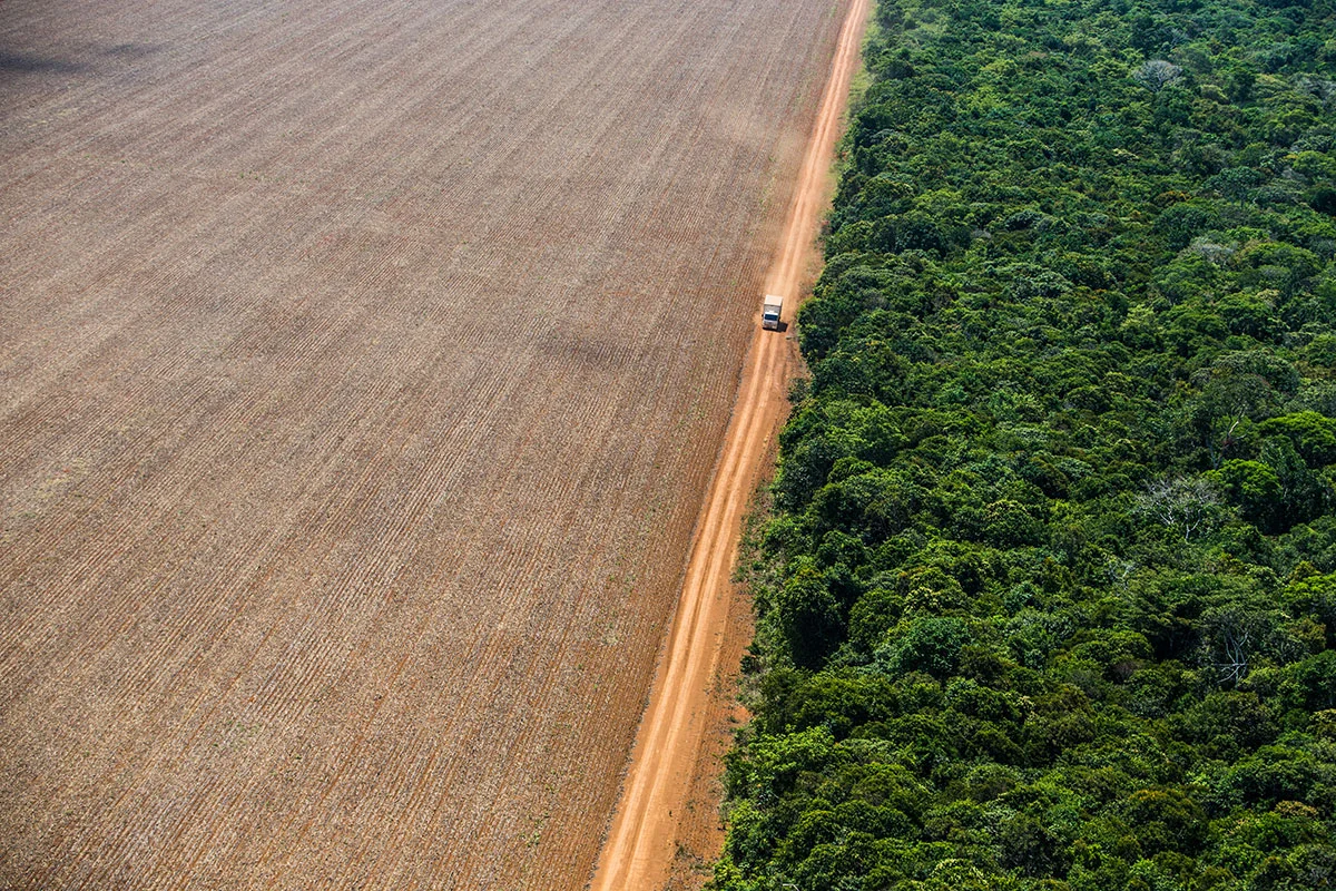 MT quer flexibilizar lei ambiental e coloca em risco 14 milhões de ha