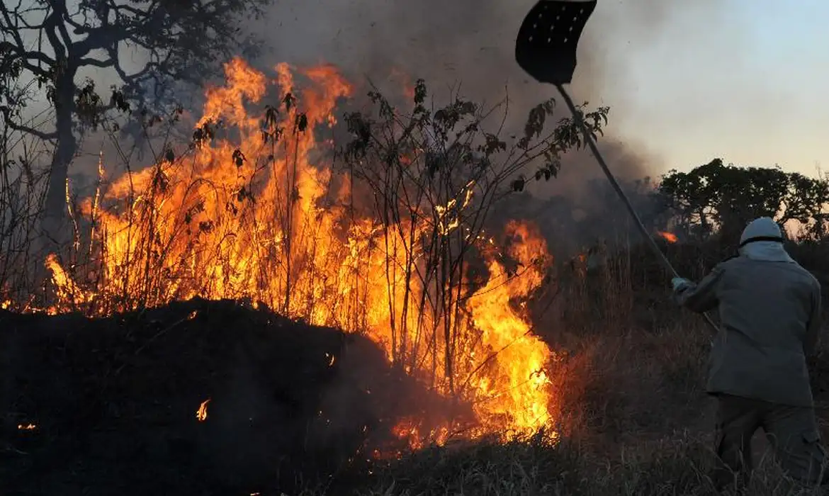 Poluição do ar por incêndios provoca 1,5 milhão de mortes anuais