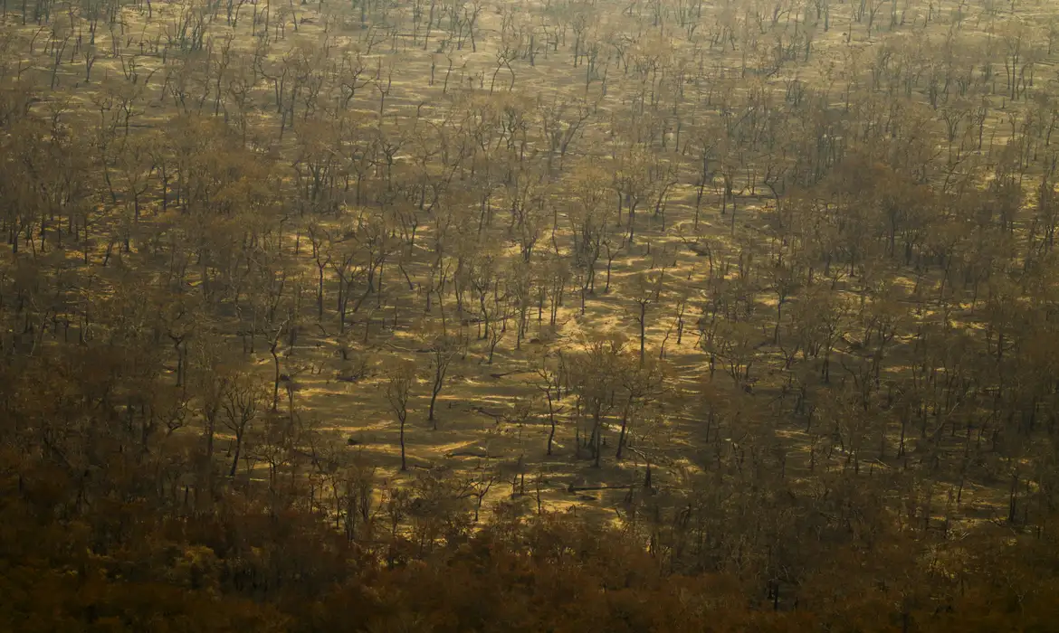 La Niña perderá força e deve entrar na fase neutra em breve