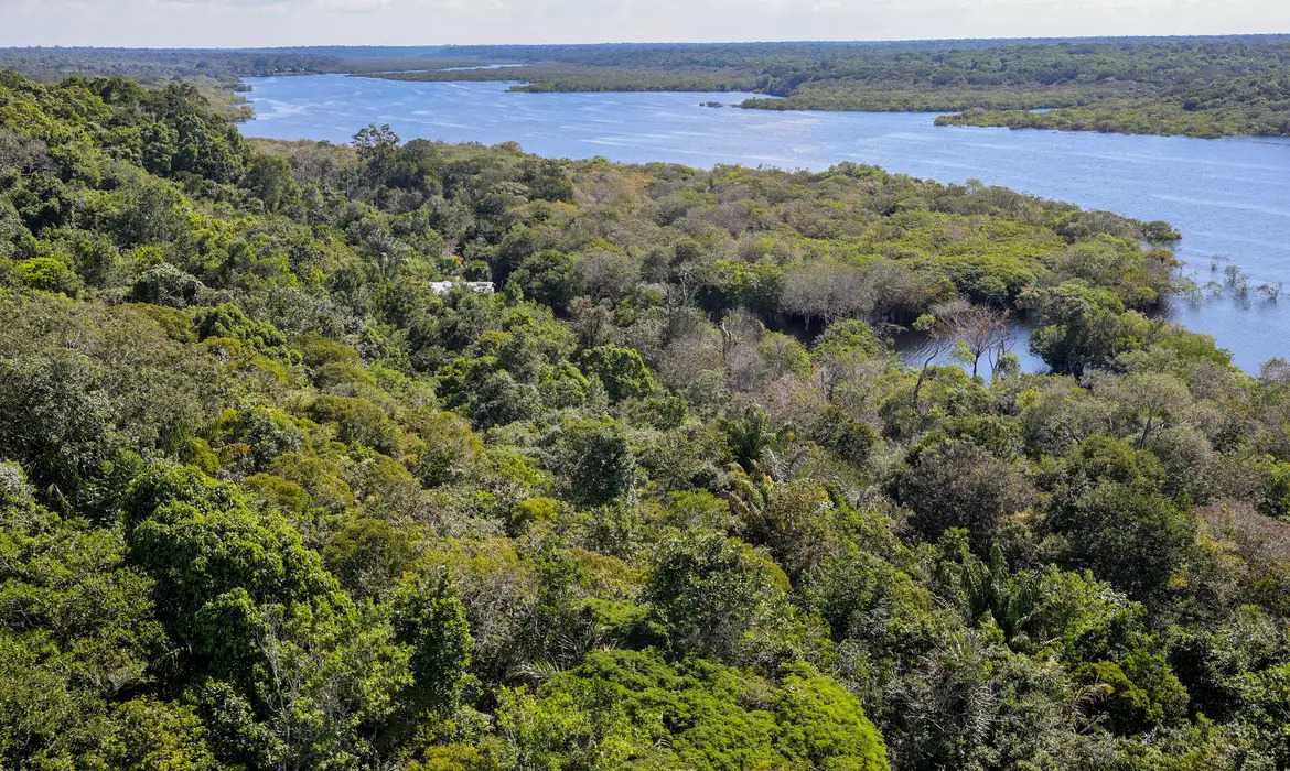 Brasil reduziu em 12% emissões de gases do efeito estufa em 2023