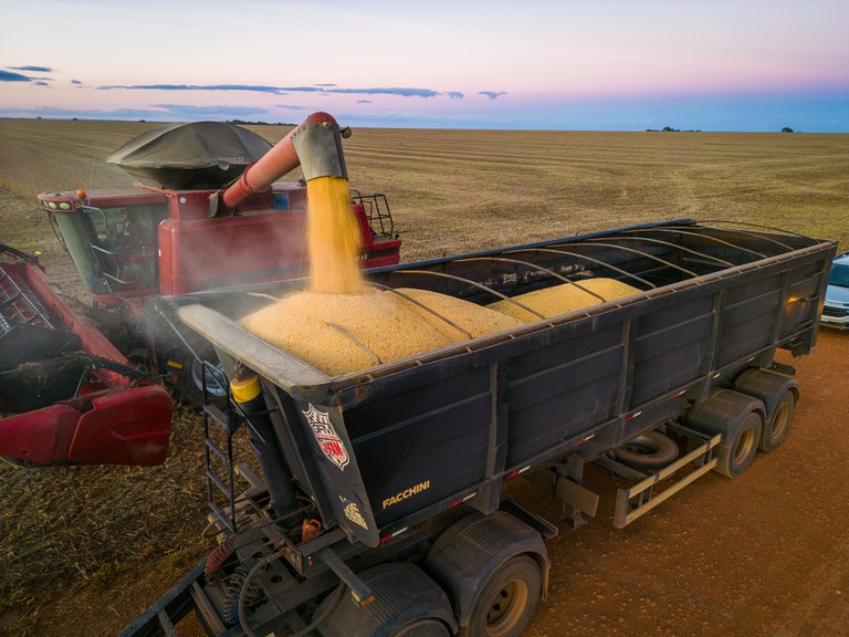 Governo anuncia R$ 546,6 bi para impulsionar a agricultura