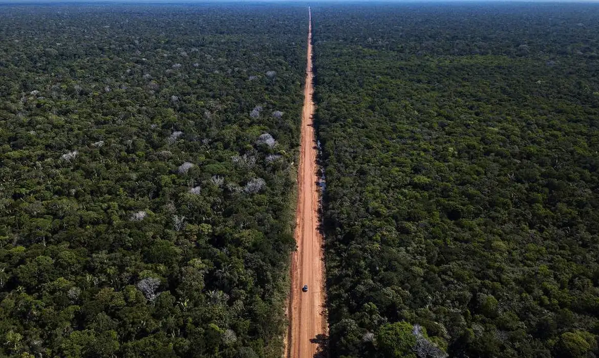 PL que retira MT da Amazônia Legal pode causar prejuízos ao agro