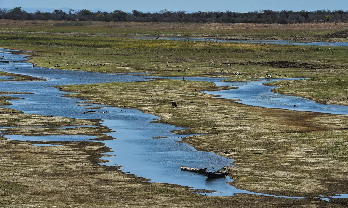 Mudanças climáticas ameaçam biodiversidade de forma irreversível