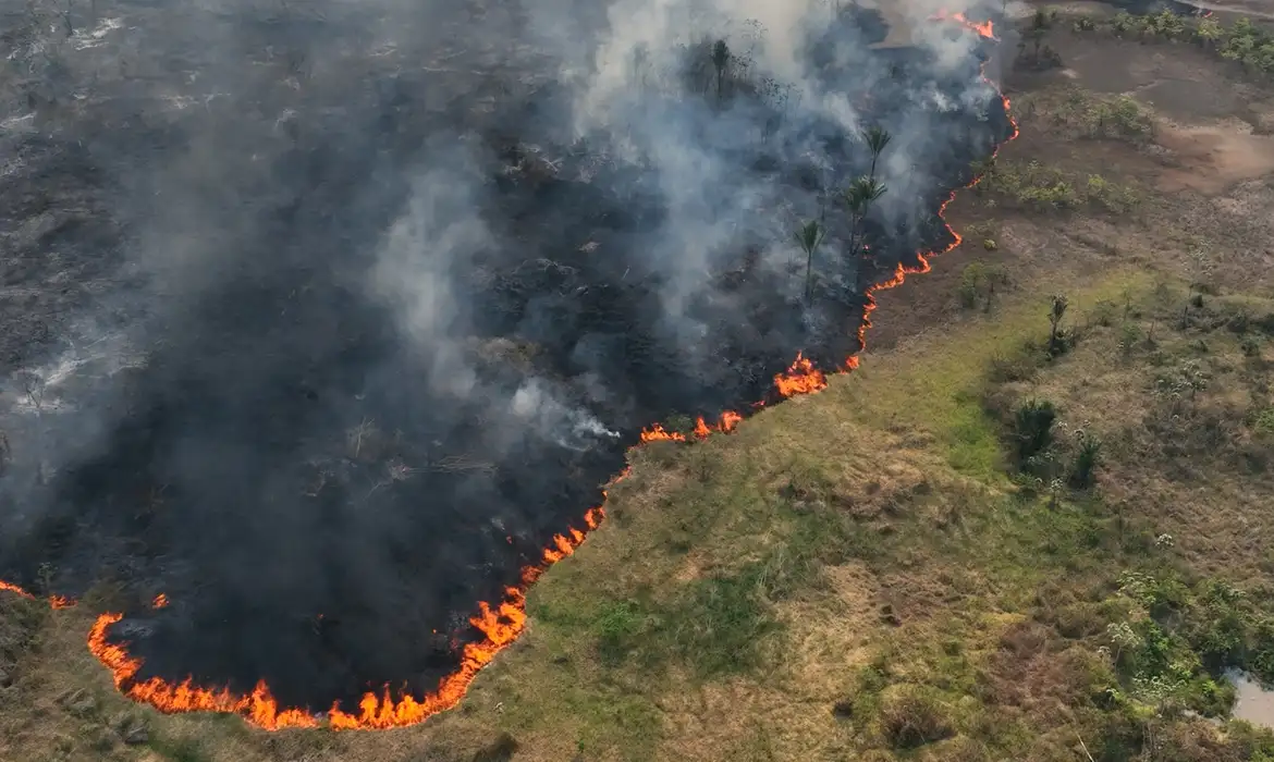 Com seca e crise climática, Brasil tem a maior área queimada desde 2019