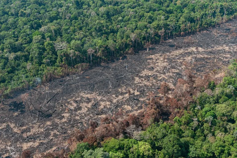 Após MT e RO, Maranhão aprova lei que enfraque Moratória da Soja