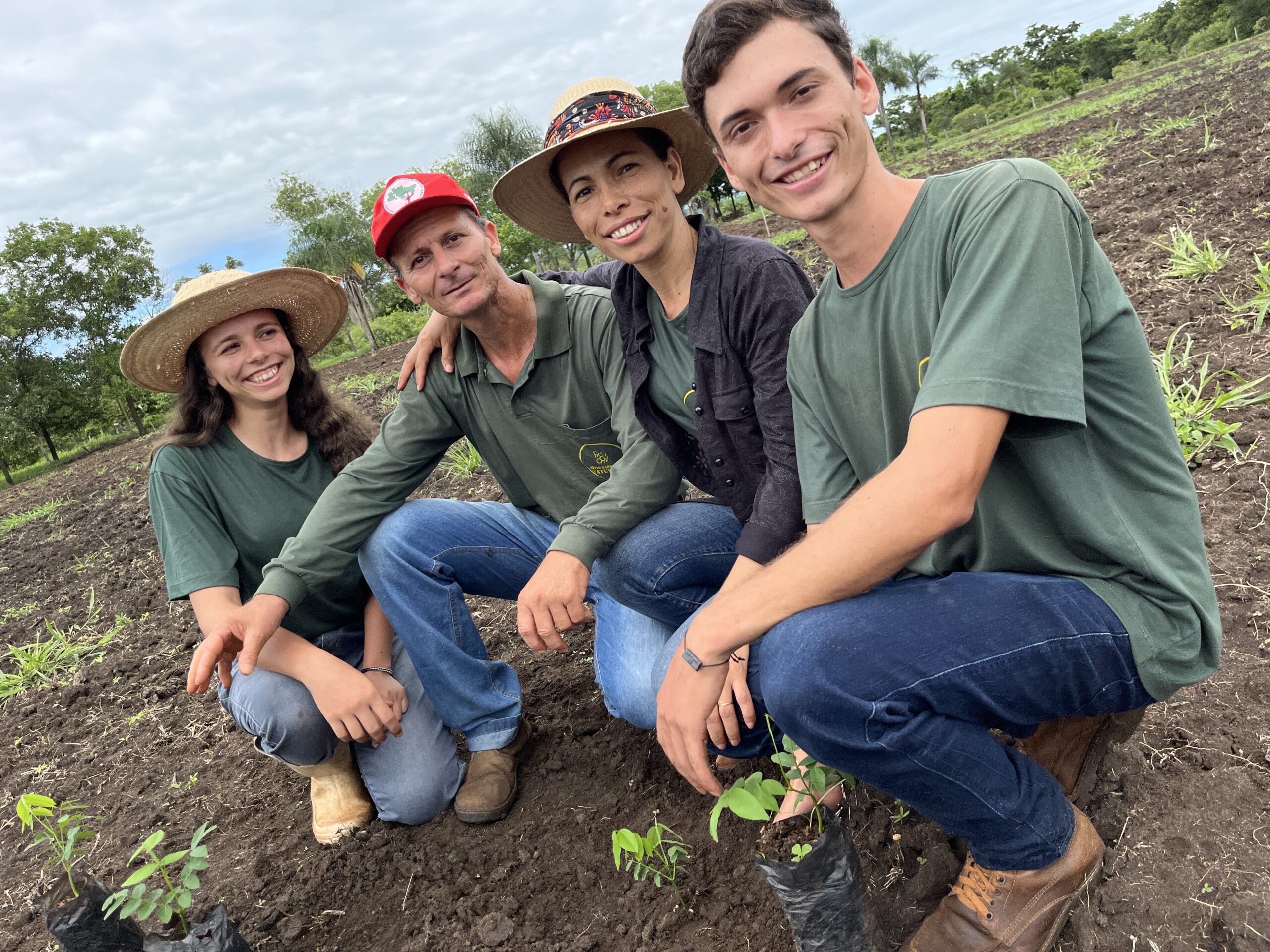 Agrofloresta impulsiona produção de mel e mantém jovens no campo