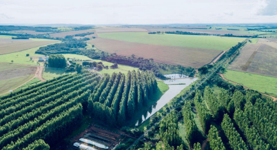 ILPF: solo rico leva fazenda ao Mercado de Carbono