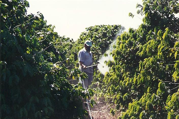 Contato com agrotóxico aumenta risco de câncer em agricultores