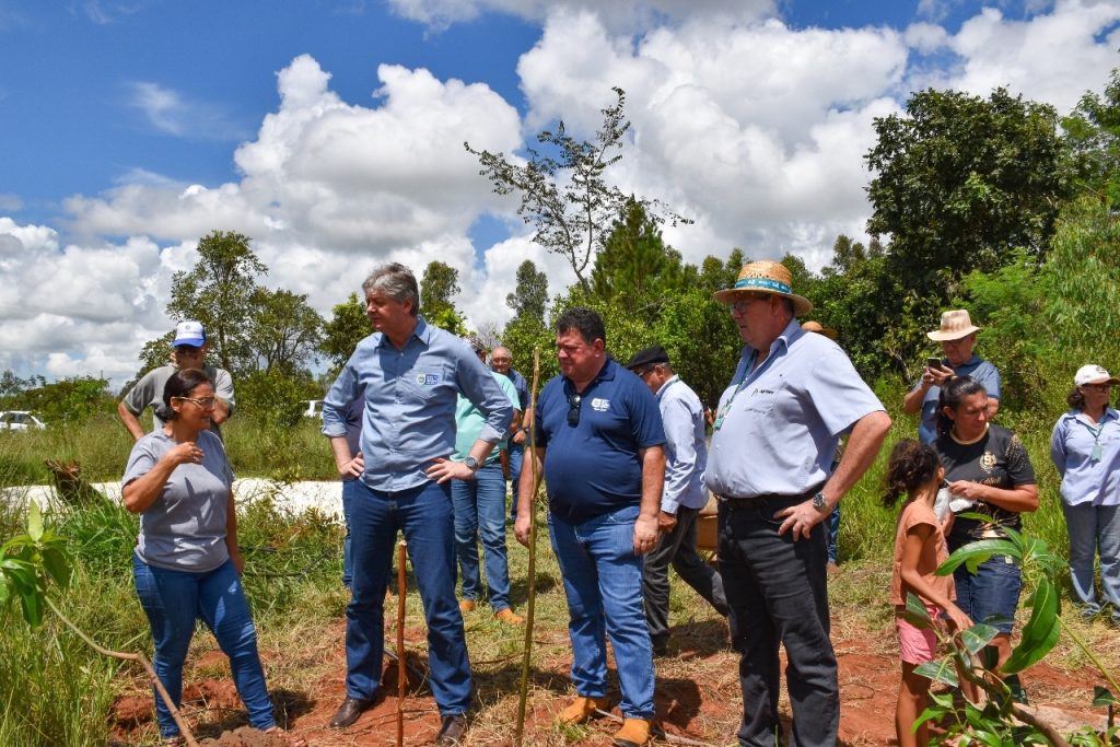 Com agrofloresta, pequeno produtor entra no mercado de carbono