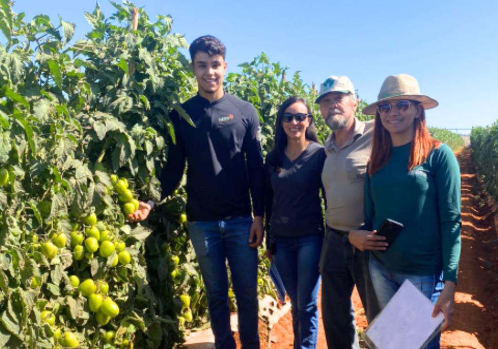 Jovem garante futuro da produção de tomate da família em GO