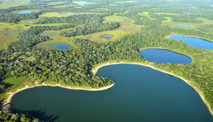 Pantanal do MS: mais perto de se tornar patrimônio nacional