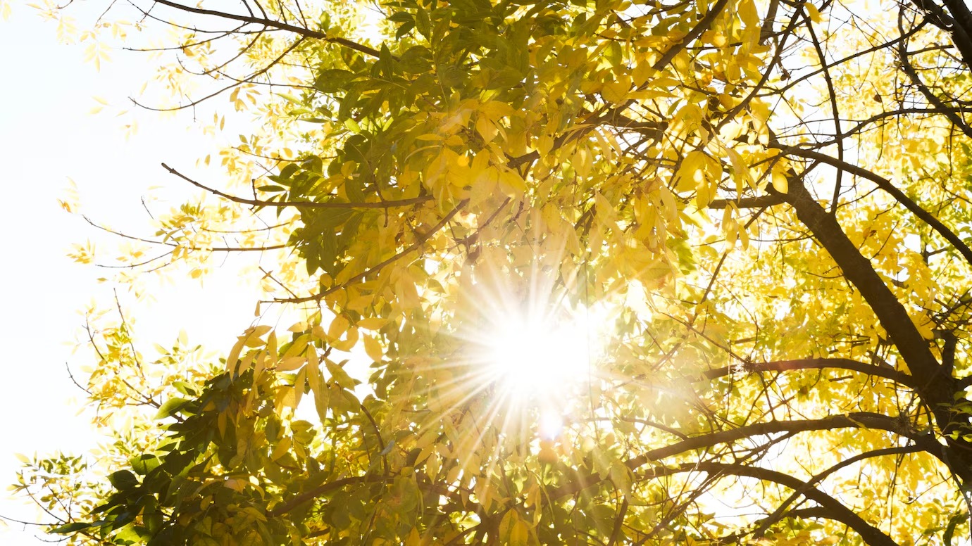 Calor desacelera em fevereiro, mas temperatura segue alta